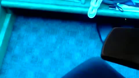 tornne online show from 02.02.25