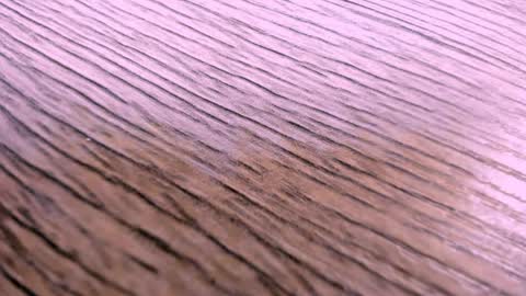 toshi_dakxxx online show from 04.02.26