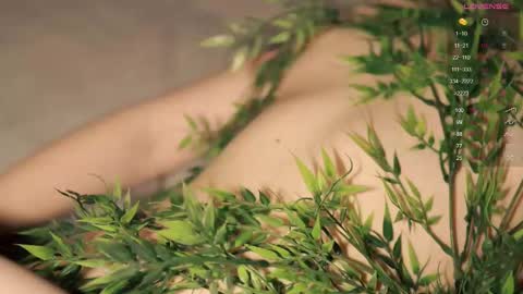 Toshi online show from 02.10.25