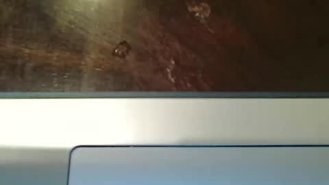 Snapshot of totxxx335 chatting on 12.15.25 totxxx335 online show from 12.15.25