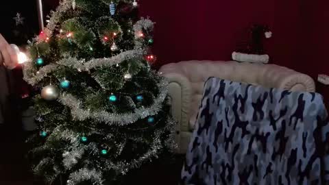   online show from 12.28.24