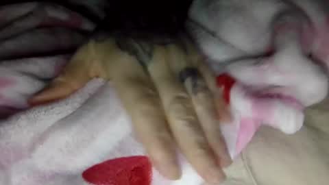 toxicanikki online show from 01.08.26