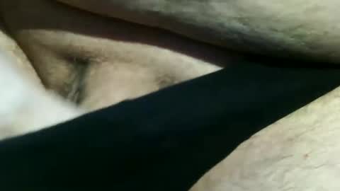 trailblazer1969 online show from 12.08.24