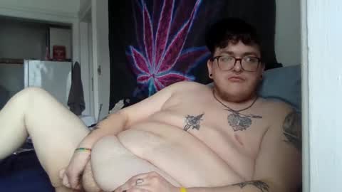 transmalebear online show from 02.11.25