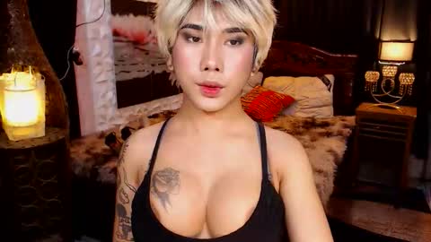 transpornidol online show from 02.13.26