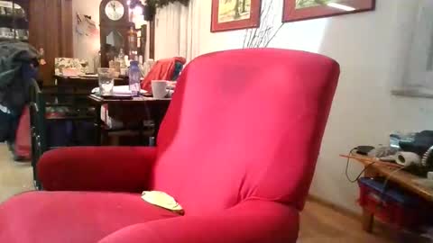 trebgeis1 online show from 01.06.26