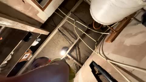 trees559 online show from 03.19.26