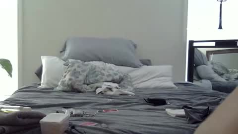 Snapshot of trickquestion chatting on 02.19.26 trickquestion online show from 02.19.26