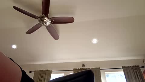 trillnonymau5 online show from 12.21.24