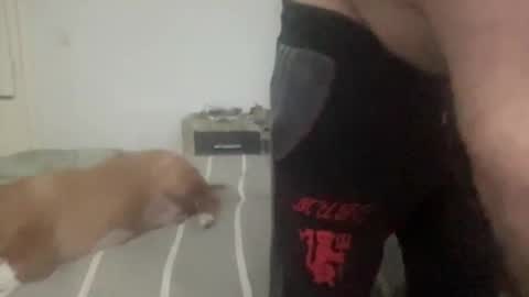 Ramiro online show from 04.11.26