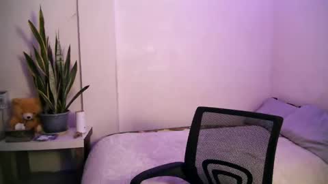 trisha online show from 12.26.24