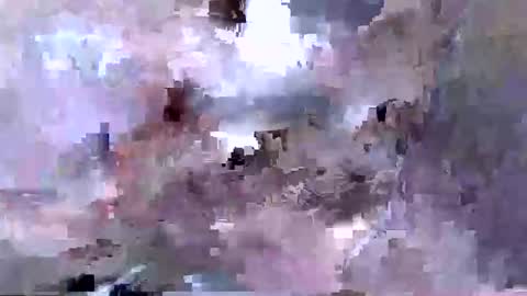 troy1965 online show from 04.12.26