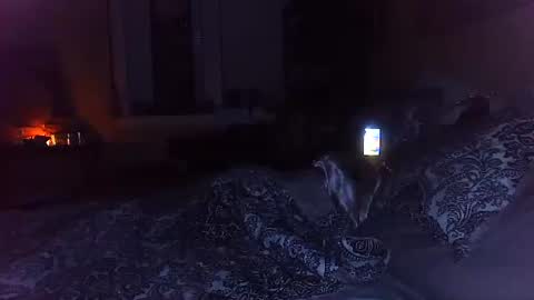 Snapshot of tsamberwhite007 chatting on 10.29.25 Amber White online show from 10.29.25