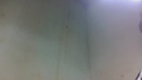 Snapshot of tsaralaza chatting on 11.06.25 tsaralaza online show from 11.06.25