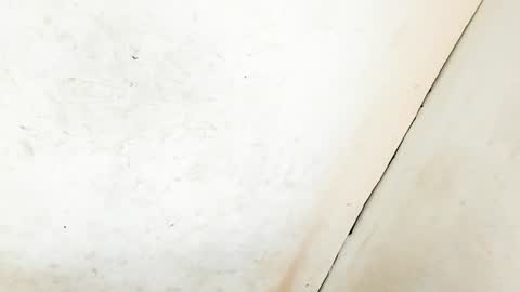 Snapshot of tsmanika chatting on 01.11.25 MA NI KA online show from 01.11.25