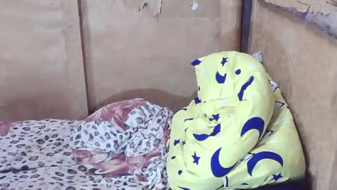 carmella online show from 12.29.24