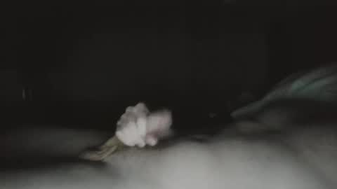 tucker 28 m online show from 03.23.26