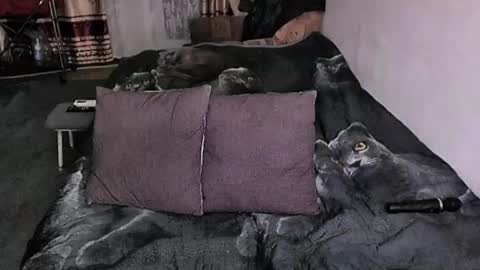 Snapshot of tviks chatting on 01.17.26 Lana online show from 01.17.26