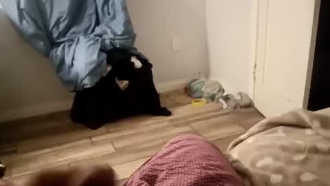 twest84 online show from 09.14.25