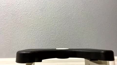 Snapshot of twetcock chatting on 02.06.25 twetcock online show from 02.06.25