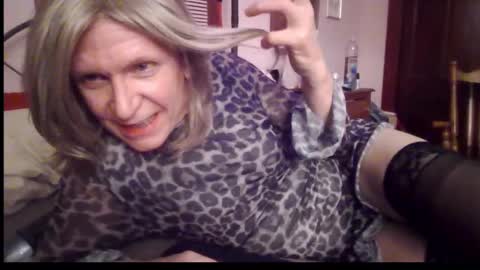 Kitten online show from 12.21.24