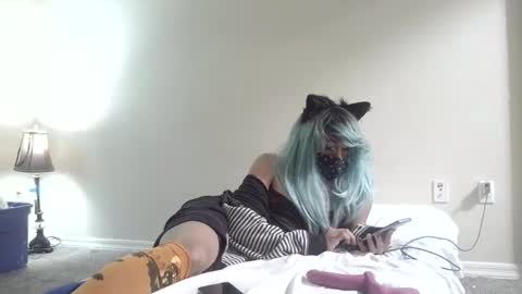 twinkyteddy online show from 10.06.25