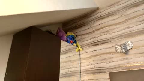 twinslovers_ online show from 01.06.26