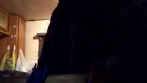 Tintilizing Excitement online show from 02.01.25