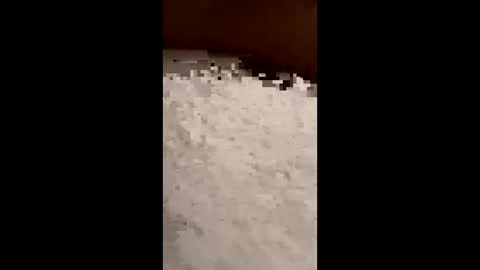 txcouple281 online show from 11.16.25