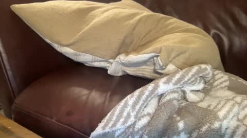 Snapshot of ty23333 chatting on 02.06.25 ty223222 online show from 02.06.25