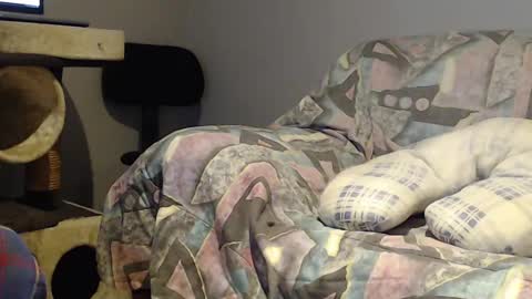 Helena and Tyson online show from 02.22.25