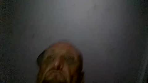 uplatenhorny2379 online show from 12.20.25