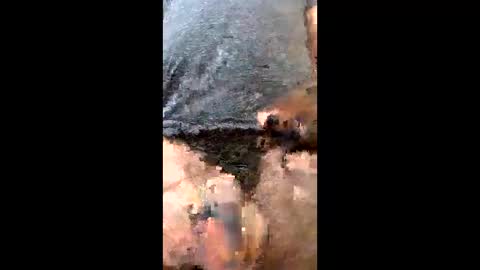 Uramajesty online show from 03.19.26