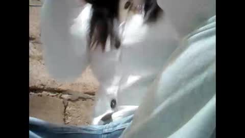 Aleah online show from 11.25.25