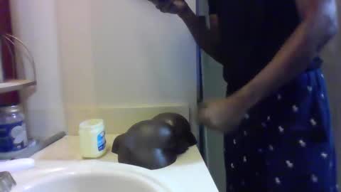 uzithebbc online show from 12.11.24