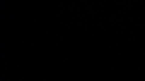 Valen Scott online show from 01.15.25