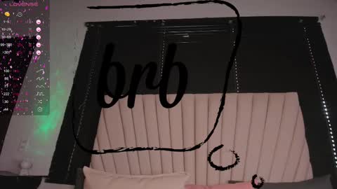 Snapshot of valeria_uribe22 chatting on 02.13.25 online show from 02.13.25