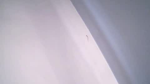 vanessaanythinggoes online show from 04.10.26