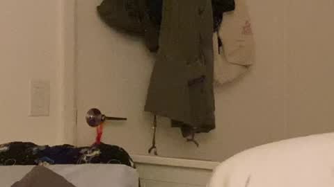 Snapshot of vanessapark chatting on 12.24.24 Vanessa  online show from 12.24.24