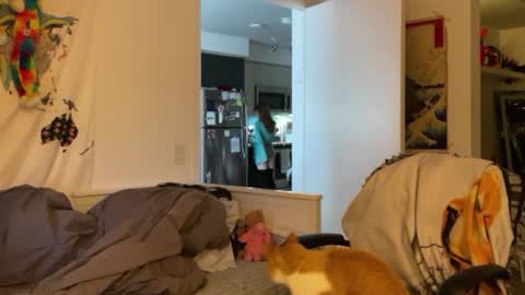 Snapshot of vanessapark chatting on 01.04.25 Vanessa  online show from 01.04.25