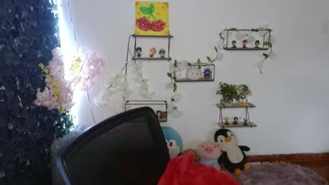 vane online show from 04.11.26