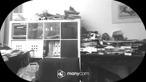 Snapshot of vejun2025 chatting on 09.11.25 vejun2025 online show from 09.11.25