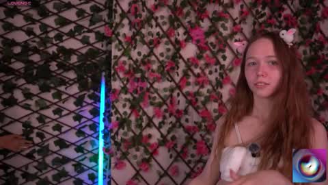 Polly online show from 11.27.25