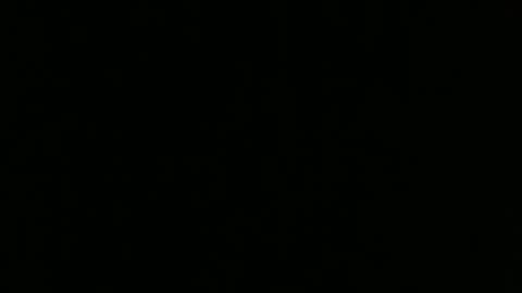 Amaia online show from 10.22.25