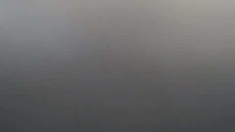 velvetteasexx online show from 02.02.26