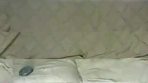 ventura50 online show from 03.06.25