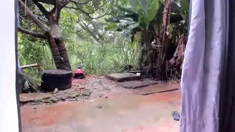 venus ... zeus sheer  online show from 01.13.26