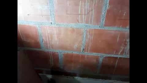 ver_gonblack online show from 10.16.25