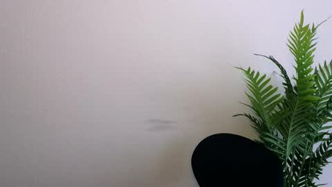 Ana online show from 03.12.26