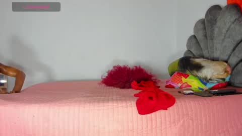 Snapshot of vicky_hotteei chatting on 05.01.26 vicky manuela online show from 05.01.26